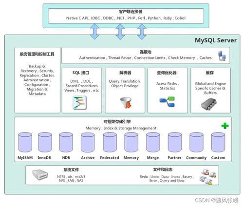 MySQL數(shù)據(jù)庫基礎與數(shù)據(jù)處理服務入門
